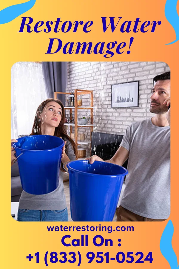 water restoration Lightning Recovery Pros Worthville