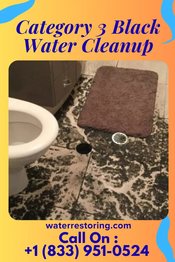 Category 3 Black Water Cleanup in Worthville, PA