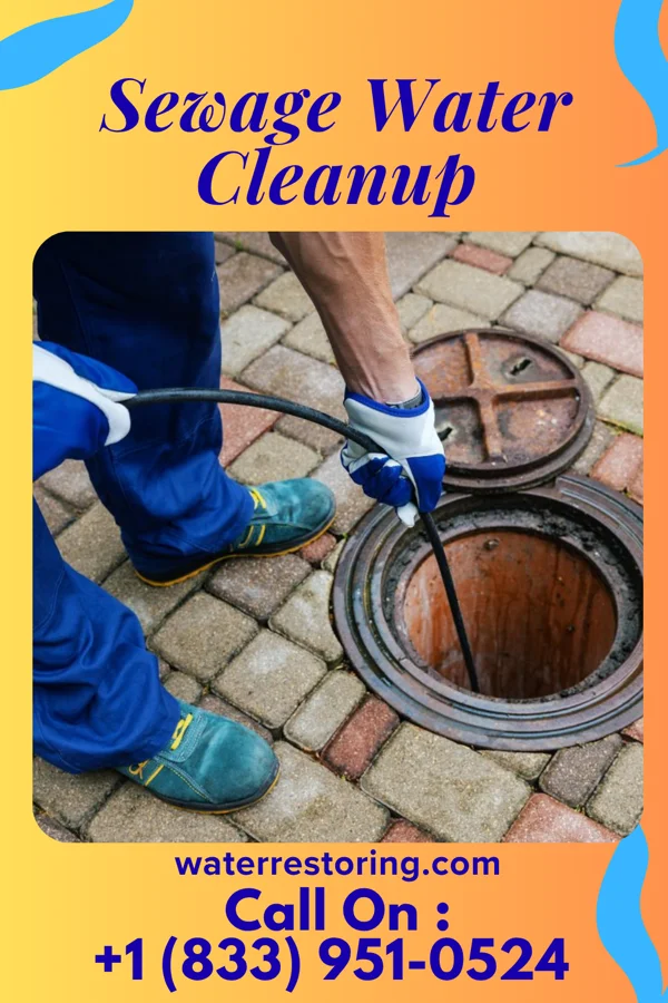 Sewage Water Cleanup in Worthville, PA